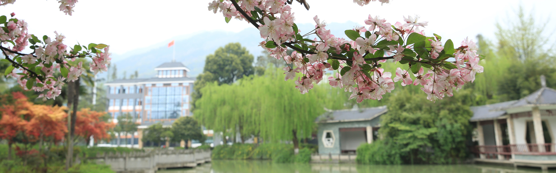 英国365(集团)公司官方网站