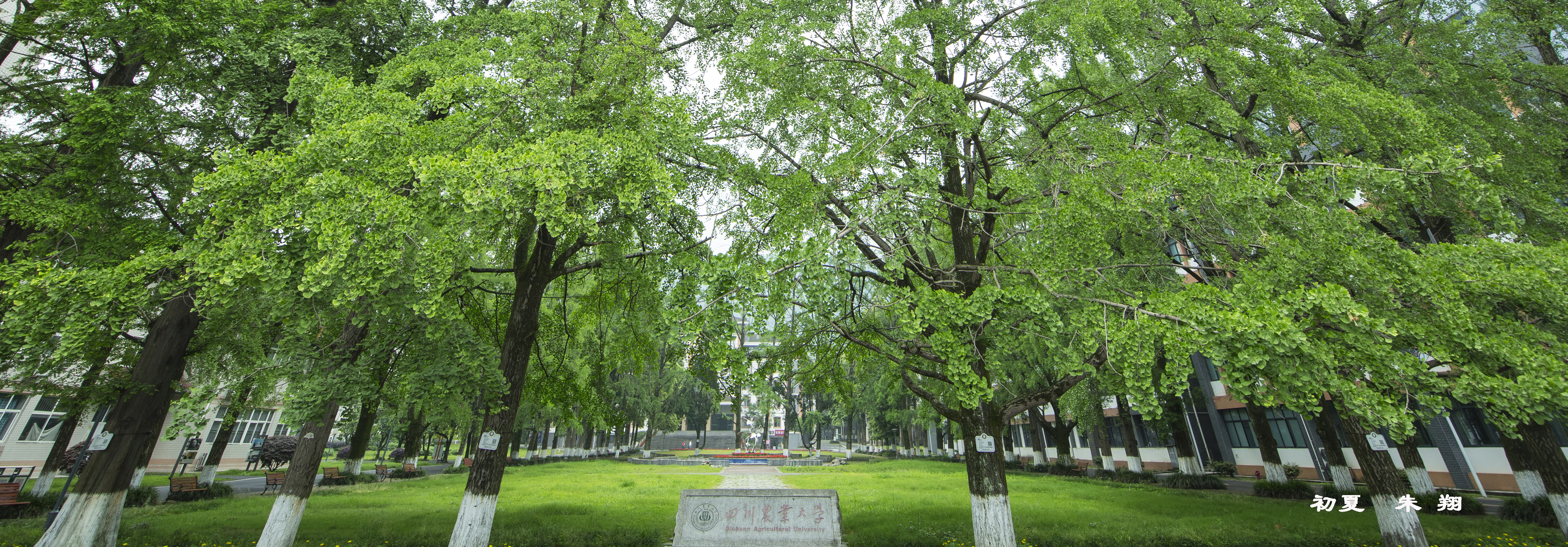 英国365(集团)公司官方网站